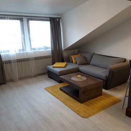 Apartman Mohenski ザグレブ エクステリア 写真